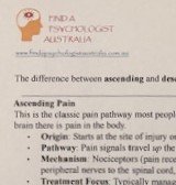 Ascending and descending pain. 